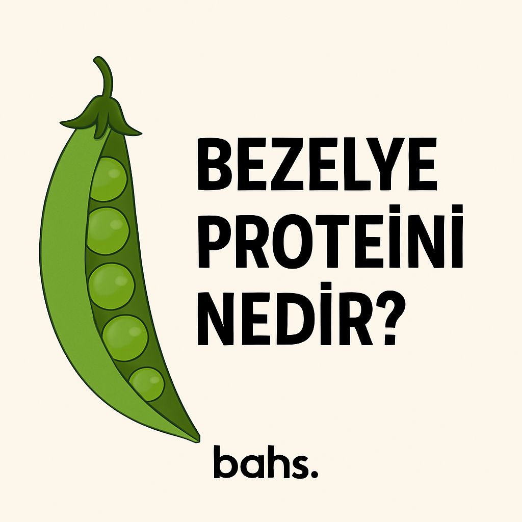 Bezelye Protein (Pea Protein) Nedir? Neden Tercih Edilir? | bahs.