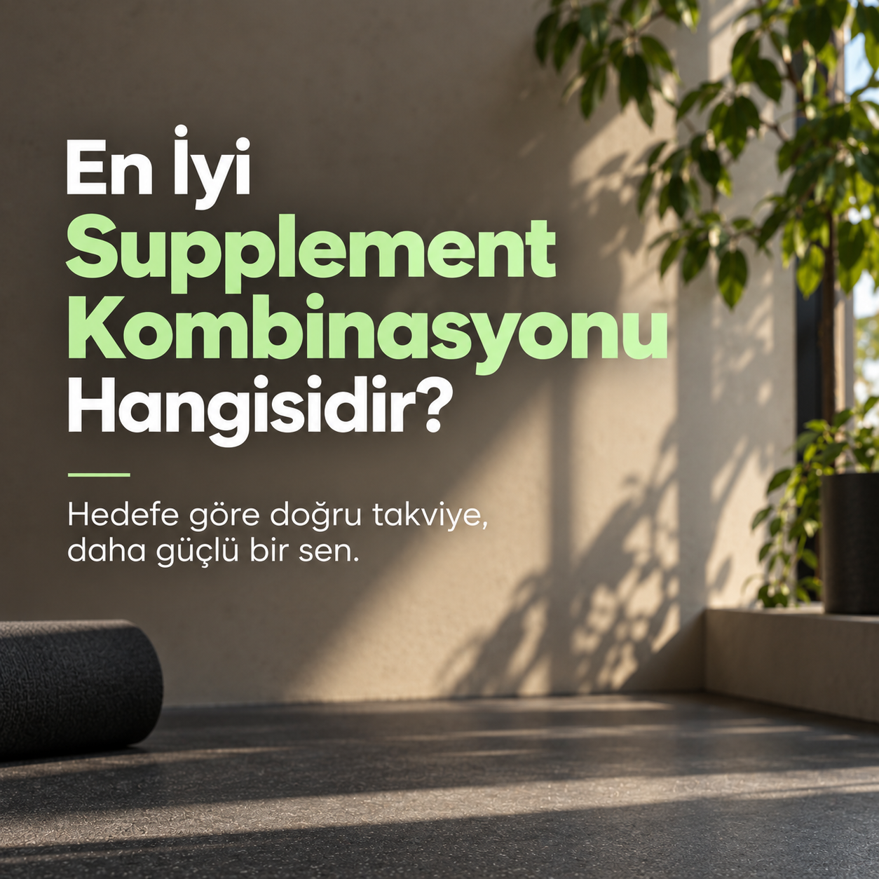 En İyi Supplement Kombinasyonu Hangisidir? | bahs.
